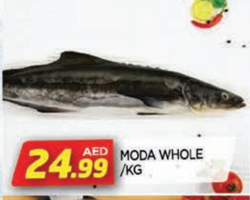 available at AL MADINA in UAE - Sharjah / Ajman