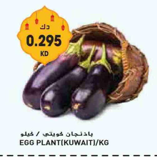 from Kuwait available at Grand Costo in Kuwait - Ahmadi Governorate