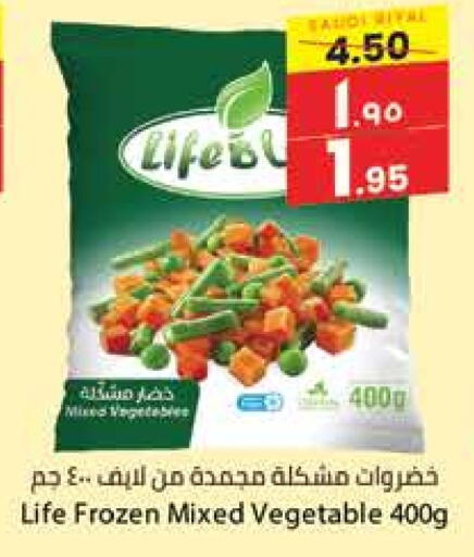 available at City Flower in KSA, Saudi Arabia, Saudi - Hail