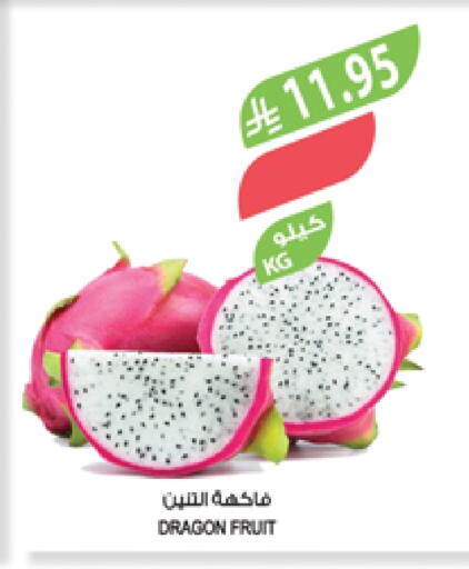 Fresh Fruits in Farm , Saudi Arabia Offers - Saudi Arabia Dragon fruits available at Farm in KSA, Saudi Arabia, Saudi - Saihat