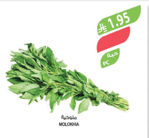 Fresh Vegetables in Farm , Saudi Arabia Offers - Saudi Arabia available at Farm in KSA, Saudi Arabia, Saudi - Al Bahah