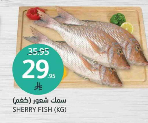available at AlJazera Shopping Center in KSA, Saudi Arabia, Saudi - Riyadh