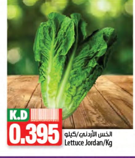 Mango Lettuce from Jordan available at Mango Hypermarket  in Kuwait - Ahmadi Governorate