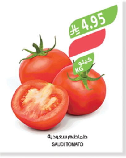 Tomato from Saudi Arabia available at Farm  in KSA, Saudi Arabia, Saudi - Al-Kharj