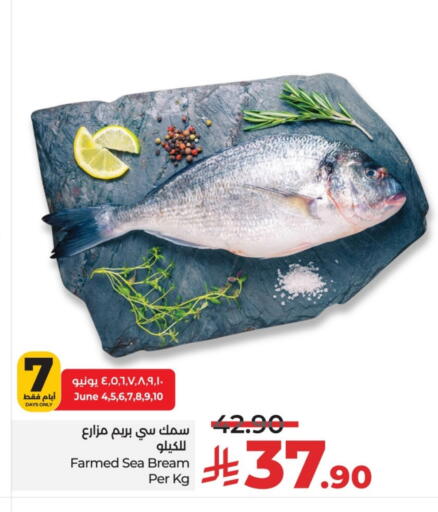 available at LULU Hypermarket in KSA, Saudi Arabia, Saudi - Hail