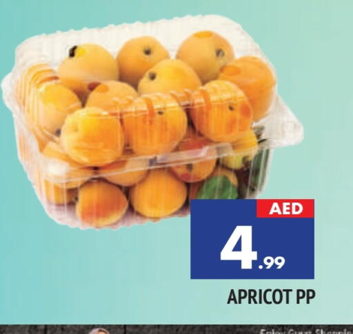 Apricot available at AL MADINA in UAE - Sharjah / Ajman