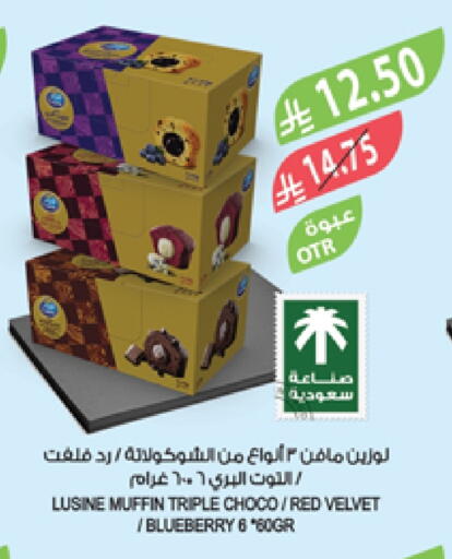 Blueberry BlueBerry available at Farm  in KSA, Saudi Arabia, Saudi - Sakaka