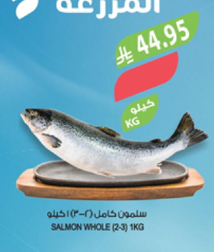 available at Farm  in KSA, Saudi Arabia, Saudi - Abha