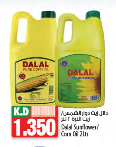 DALAL Sunflower Oil available at Mango Hypermarket  in Kuwait - Ahmadi Governorate