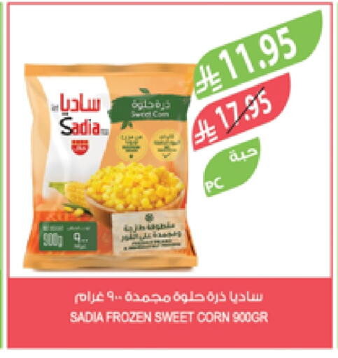زيت الزنجبيل available at المزرعة in مملكة العربية السعودية, السعودية, سعودية - سيهات