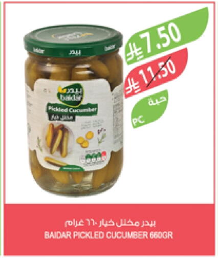Cucumber available at Farm  in KSA, Saudi Arabia, Saudi - Khafji