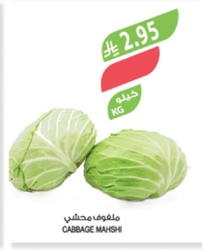 Fresh Vegetables in Farm , Saudi Arabia Offers - Saudi Arabia Cabbage available at Farm in KSA, Saudi Arabia, Saudi - Jubail