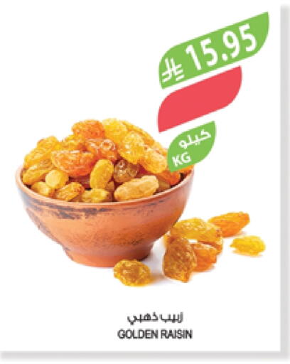 الفواكه المجففة و التمور in المزرعة, المملكة العربية السعودية Offers - المملكة العربية السعودية available at المزرعة in مملكة العربية السعودية, السعودية, سعودية - عرعر