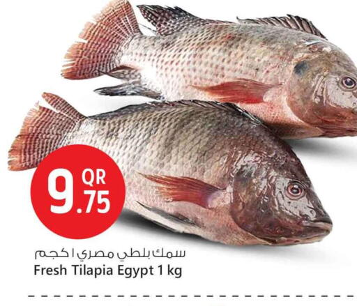 available at Safari Hypermarket in Qatar - Al-Shahaniya