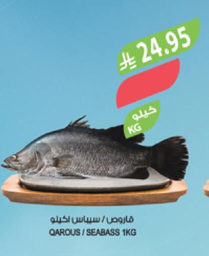 available at Farm  in KSA, Saudi Arabia, Saudi - Abha