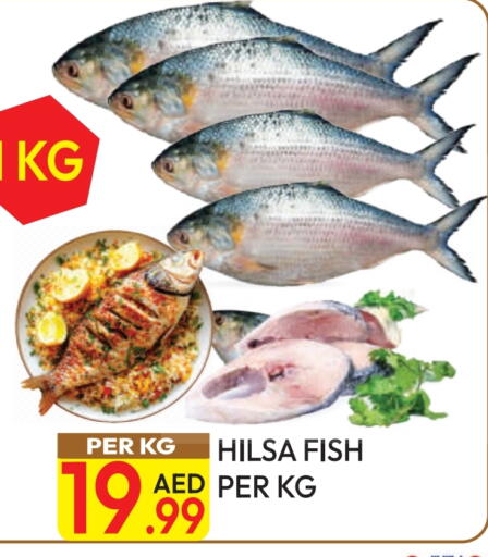 available at Dream Land in UAE - Dubai