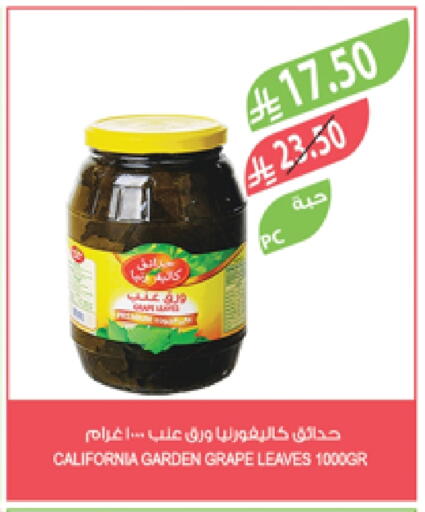 CALIFORNIA available at Farm  in KSA, Saudi Arabia, Saudi - Khafji