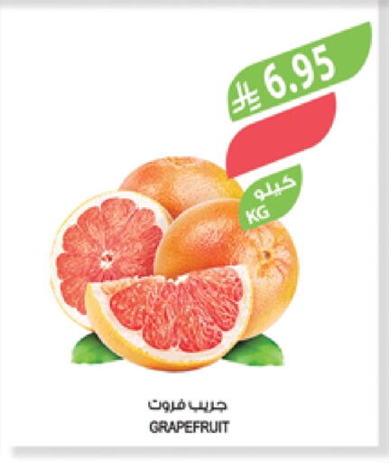 Fresh Fruits in Farm , Saudi Arabia Offers - Saudi Arabia available at Farm in KSA, Saudi Arabia, Saudi - Saihat