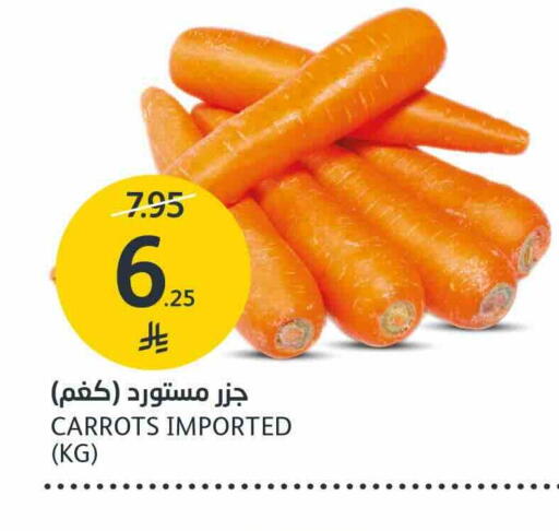 الخضروات الطازجة in مركز الجزيرة للتسوق, المملكة العربية السعودية Offers - المملكة العربية السعودية جزر available at مركز الجزيرة للتسوق in مملكة العربية السعودية, السعودية, سعودية - الرياض