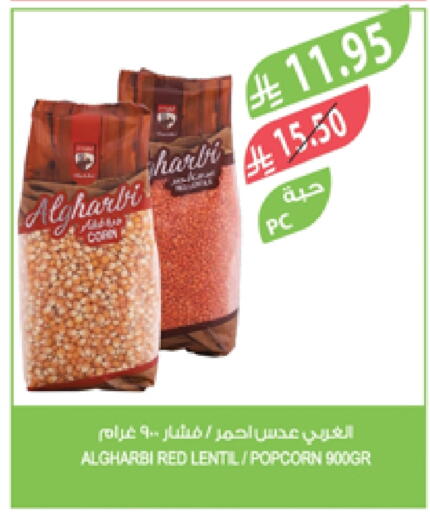البقول، الفول والحبوب in المزرعة, المملكة العربية السعودية Offers - المملكة العربية السعودية available at المزرعة in مملكة العربية السعودية, السعودية, سعودية - جدة
