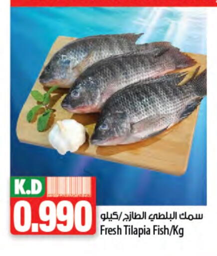 Mango available at Mango Hypermarket  in Kuwait - Kuwait City
