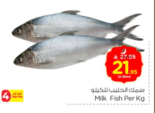 available at Nesto in KSA, Saudi Arabia, Saudi - Riyadh
