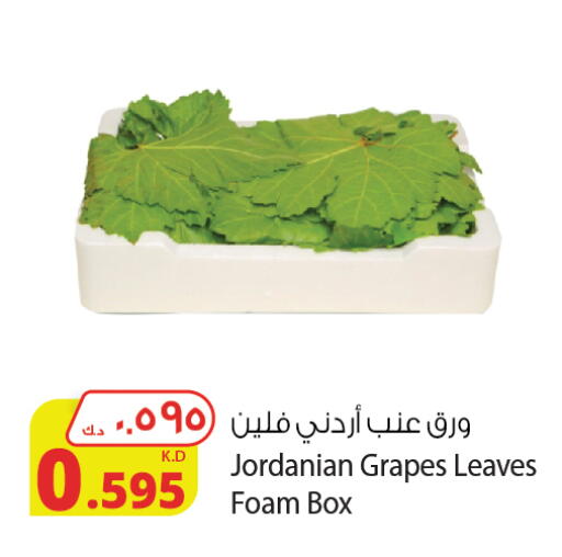 Grapes available at Agricultural Food Products Co. in Kuwait - Jahra Governorate