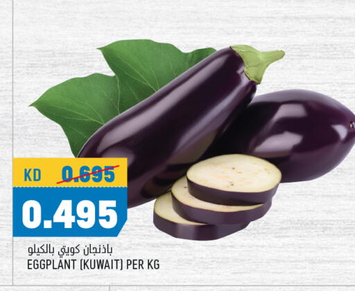 Eggplant from Kuwait available at Oncost in Kuwait - Ahmadi Governorate