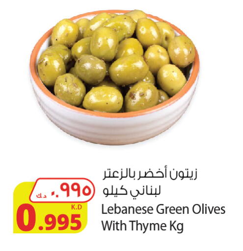 Thyme available at Agricultural Food Products Co. in Kuwait - Jahra Governorate