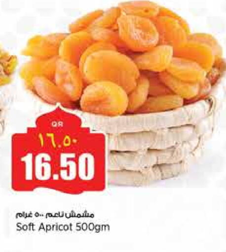 Apricot available at Retail Mart in Qatar - Al Shamal
