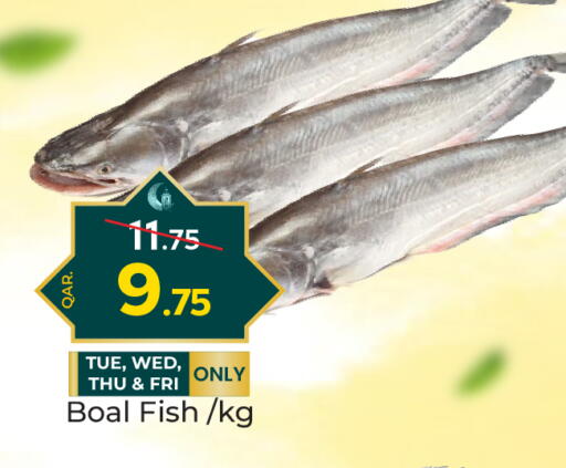 available at Paris Hypermarket in Qatar - Al-Shahaniya