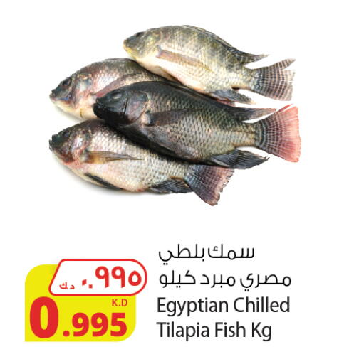 available at Agricultural Food Products Co. in Kuwait - Kuwait City