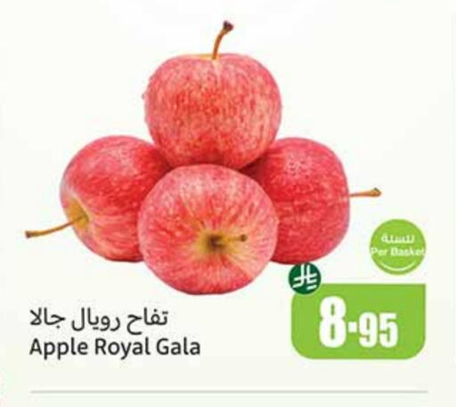 Apples available at Othaim Markets in KSA, Saudi Arabia, Saudi - Rafha