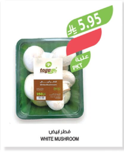 Mushroom available at Farm  in KSA, Saudi Arabia, Saudi - Sakaka