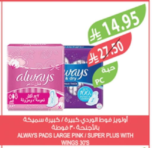 ALWAYS available at Farm  in KSA, Saudi Arabia, Saudi - Jazan