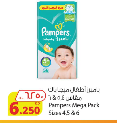 Pampers available at Agricultural Food Products Co. in Kuwait - Ahmadi Governorate