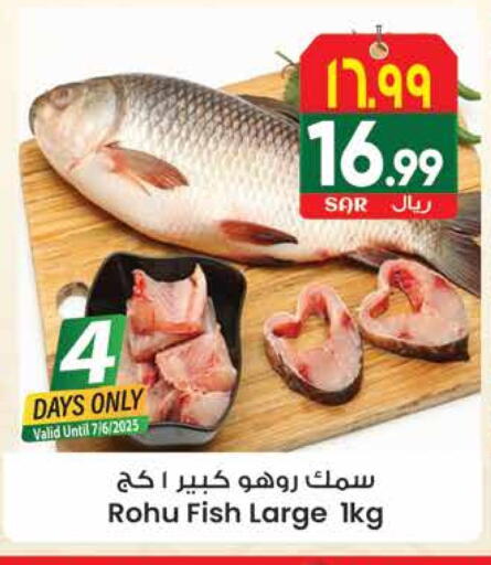 available at City Flower in KSA, Saudi Arabia, Saudi - Hail