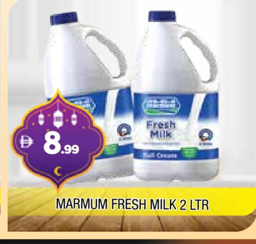 MARMUM Fresh Milk available at AL MADINA in UAE - Sharjah / Ajman