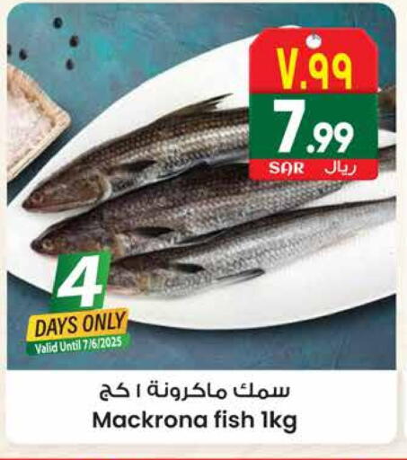 available at City Flower in KSA, Saudi Arabia, Saudi - Riyadh