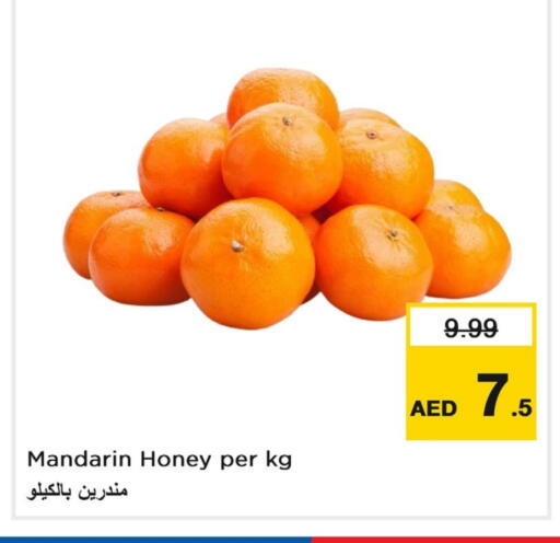 برتقال available at لاست تشانس in الإمارات العربية المتحدة , الامارات - ٱلْفُجَيْرَة‎