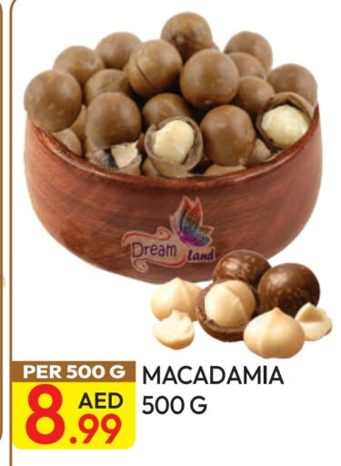 available at Dream Land in UAE - Dubai