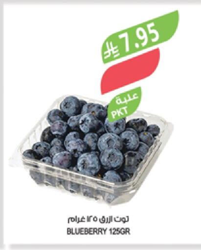 Berries available at Farm  in KSA, Saudi Arabia, Saudi - Najran