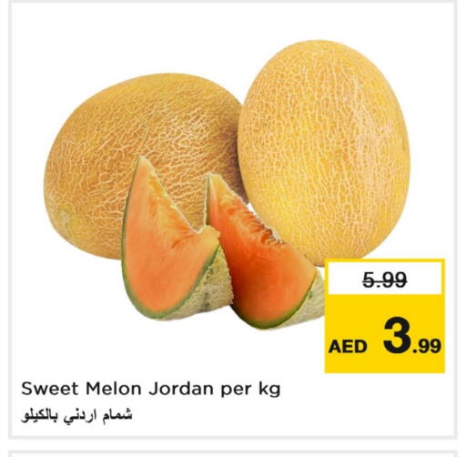 شمام from Jordan available at لاست تشانس in الإمارات العربية المتحدة , الامارات - ٱلْفُجَيْرَة‎