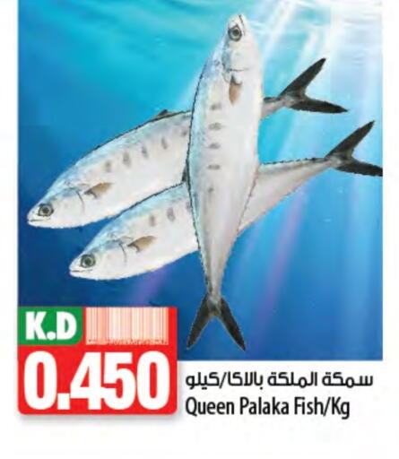 Mango available at Mango Hypermarket  in Kuwait - Kuwait City