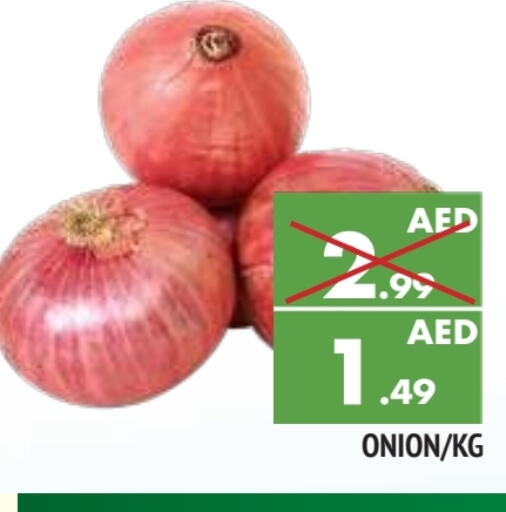بصل available at المدينة in الإمارات العربية المتحدة , الامارات - الشارقة / عجمان