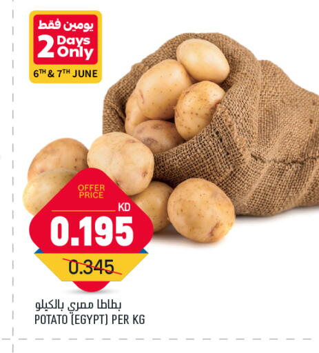 Potato from Egypt available at Oncost in Kuwait - Ahmadi Governorate