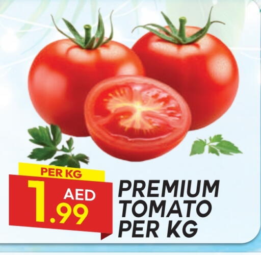 Tomato available at Dream Land in UAE - Dubai