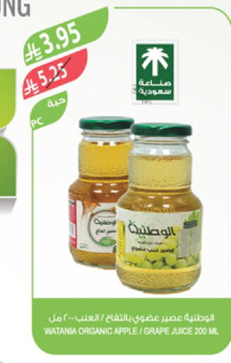 Apple available at Farm  in KSA, Saudi Arabia, Saudi - Arar