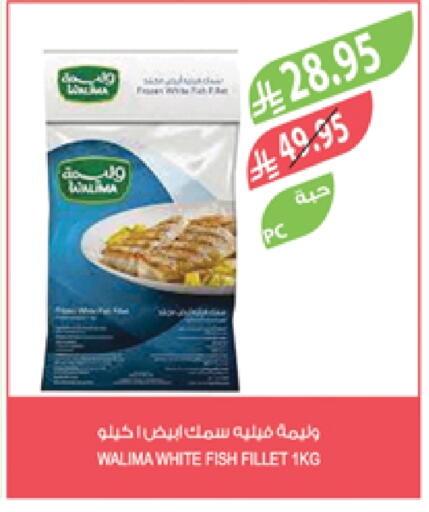 Frozen Fish in Farm , Saudi Arabia Offers - Saudi Arabia available at Farm in KSA, Saudi Arabia, Saudi - Saihat