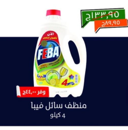 منظف عام available at خير زمان in Egypt - القاهرة